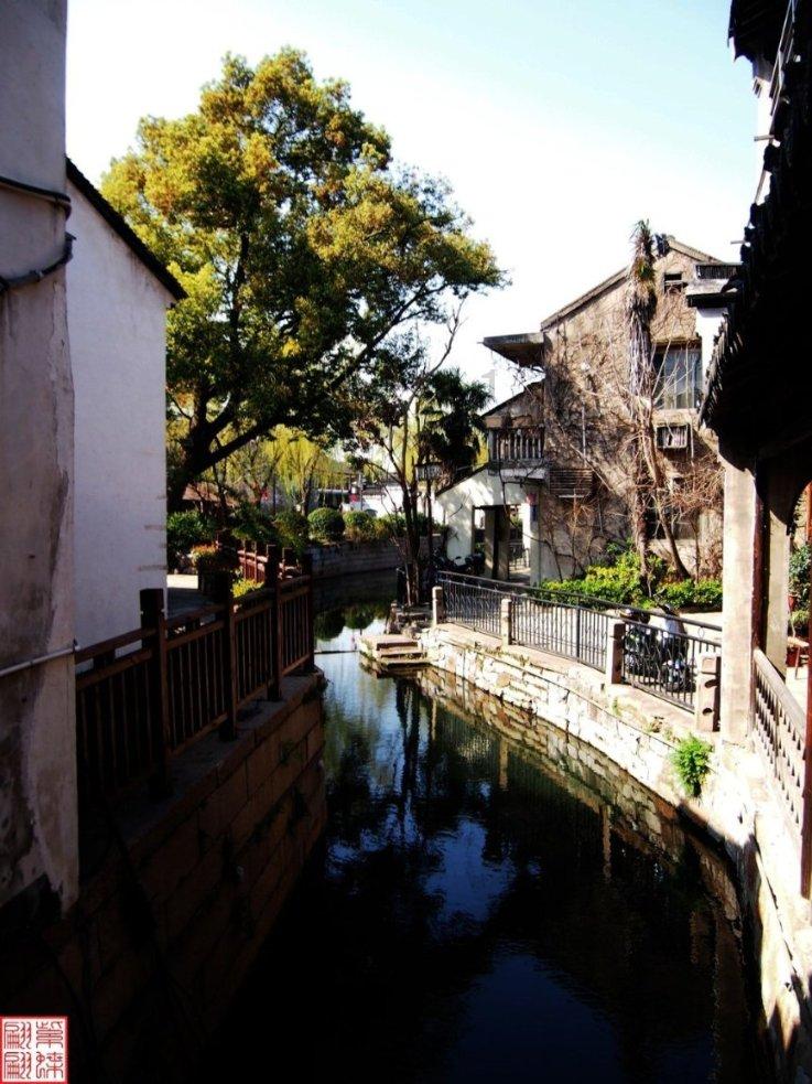 动物帮帮忙保卫家园
